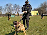 Nida i Nona - nowi czworonożni funkcjonariusze w łomżyńskiej Policji